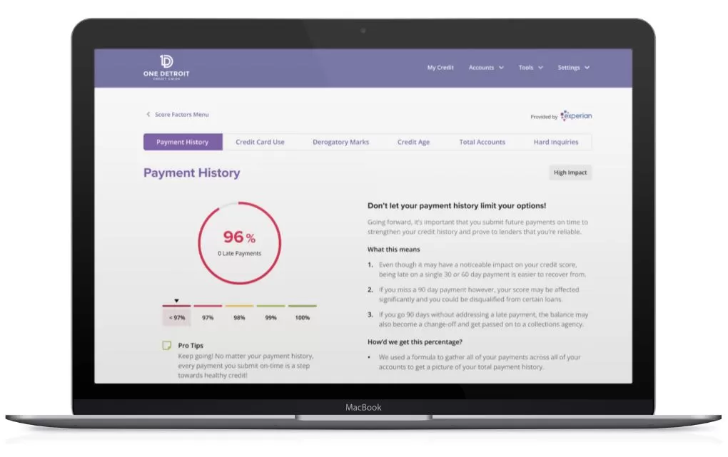 payment history